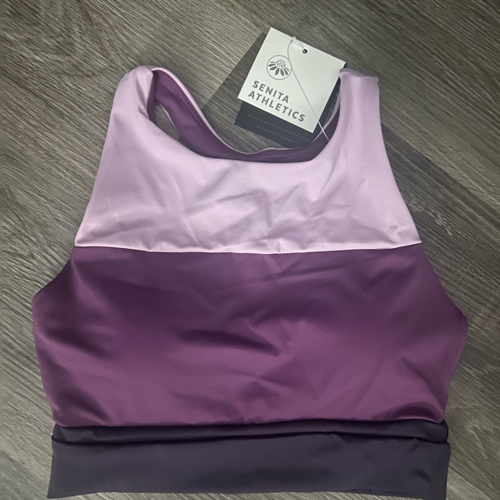 Senita Athletics Purple Mesa Cropkini swim top XS